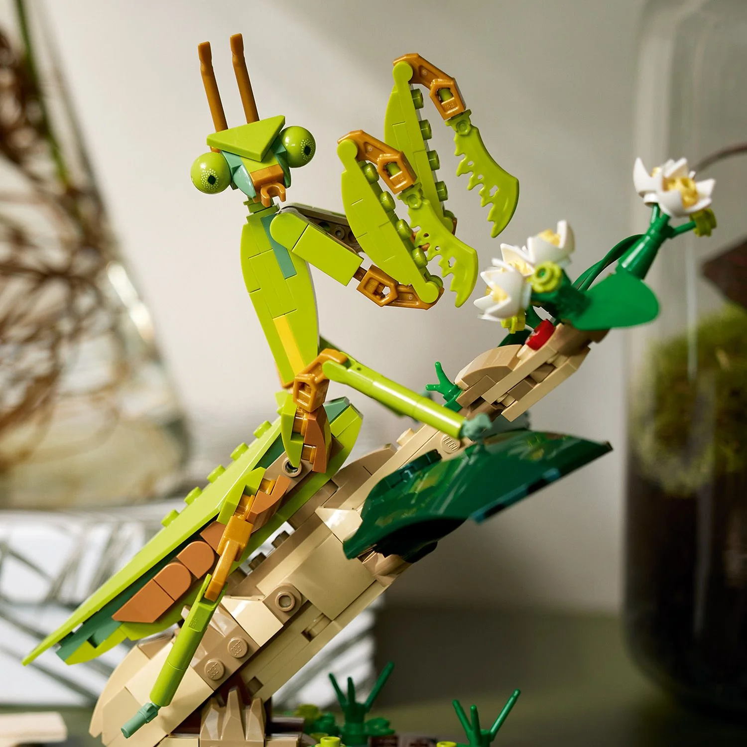 LEGO® Ideas The Insect Collection - Image 8