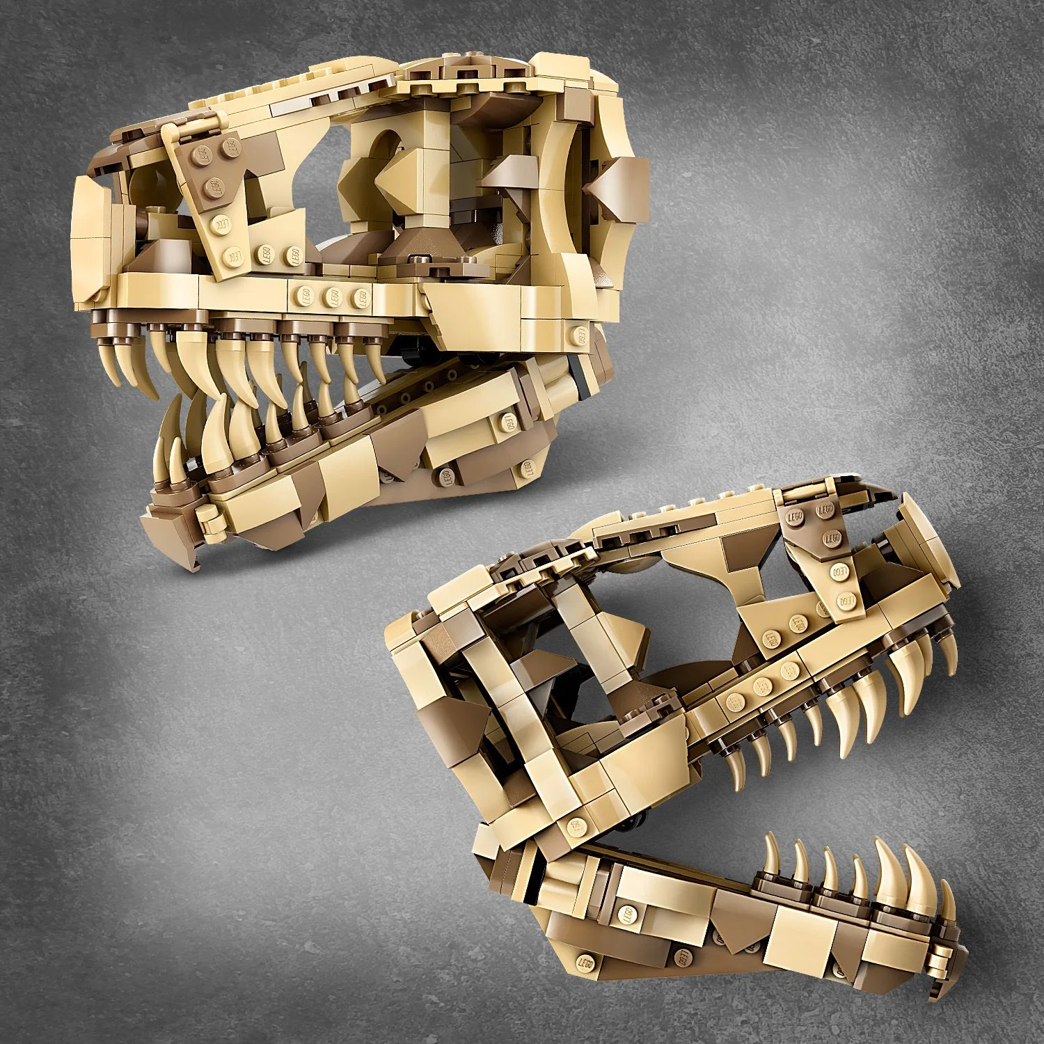 LEGO® Jurassic World™ Dinosaur Fossils: T. rex Skull - Image 5
