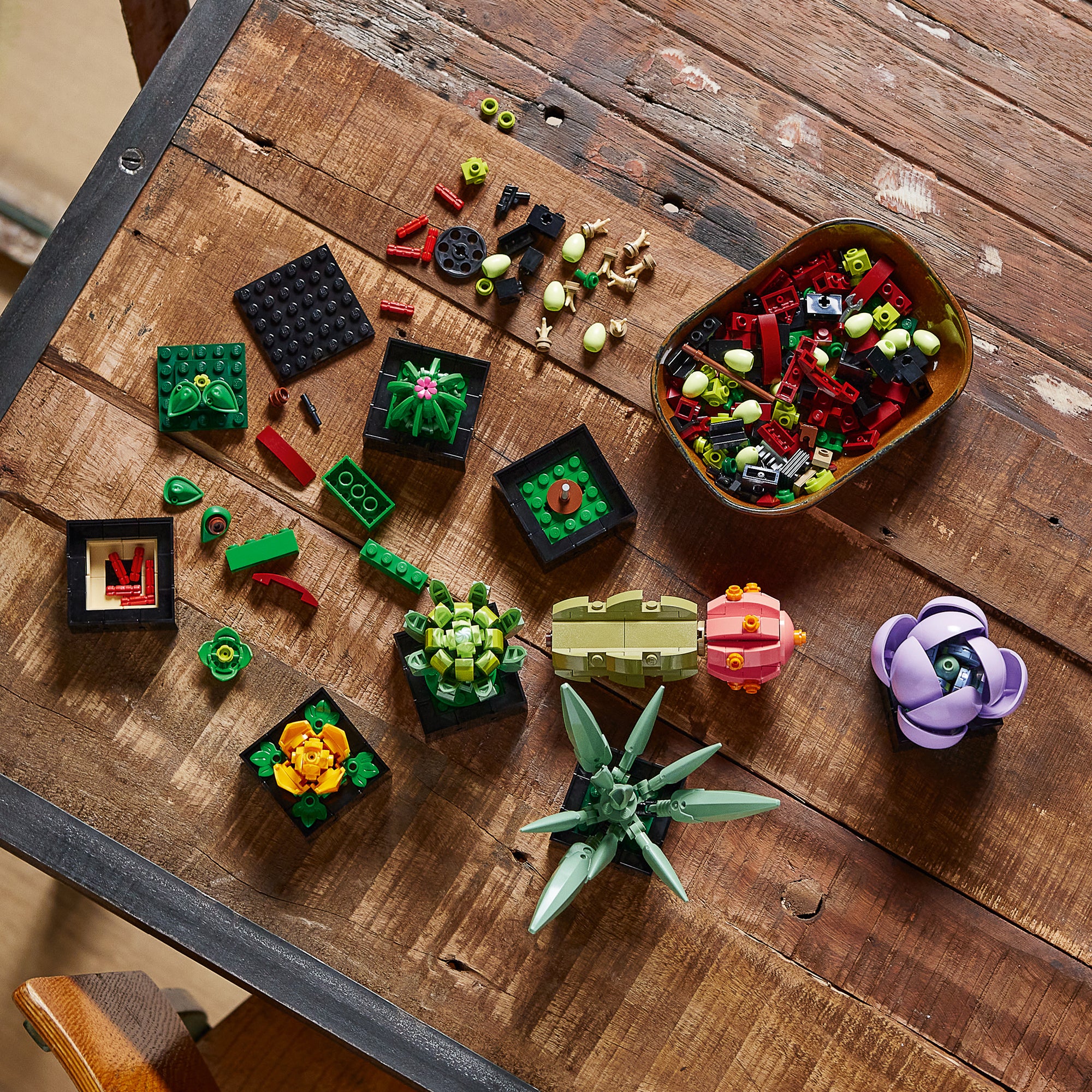 LEGO® Succulents - Image 4